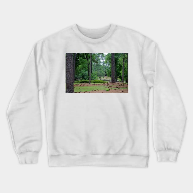 Trees And Pine Cones Crewneck Sweatshirt by Cynthia48